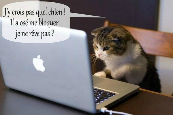 mdr faut que