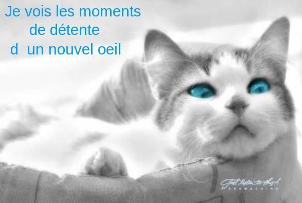 De beau yeux....