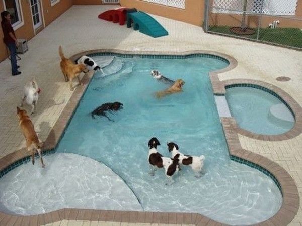 une piscine hi.hi..