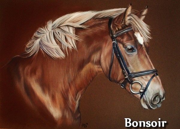 Bonsoir