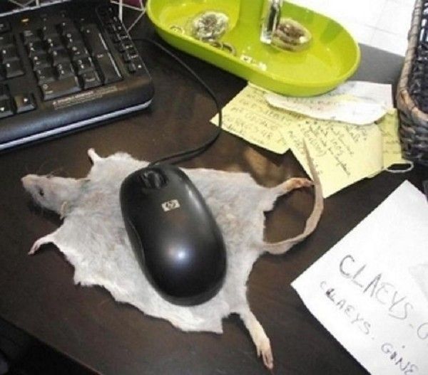 Tapis souris...naturel...