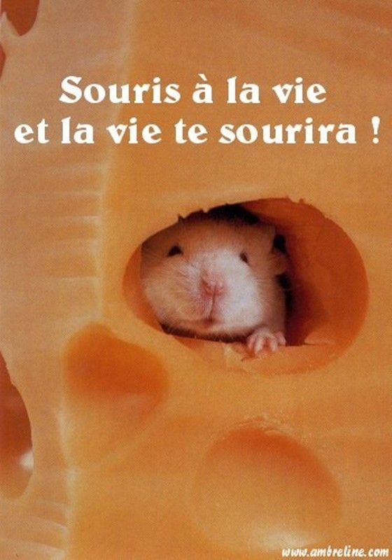 Un message d'une jolie souris...