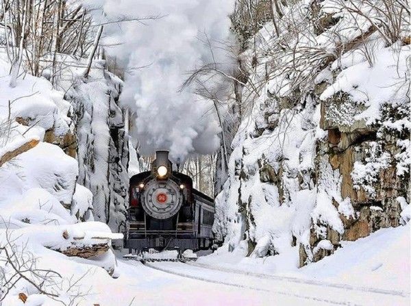 Train dans la neige