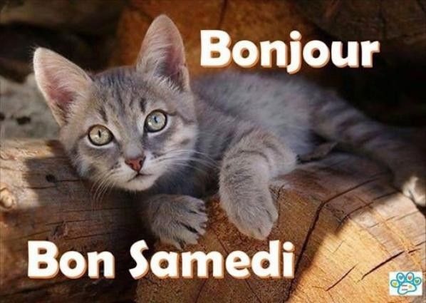 bon samedi