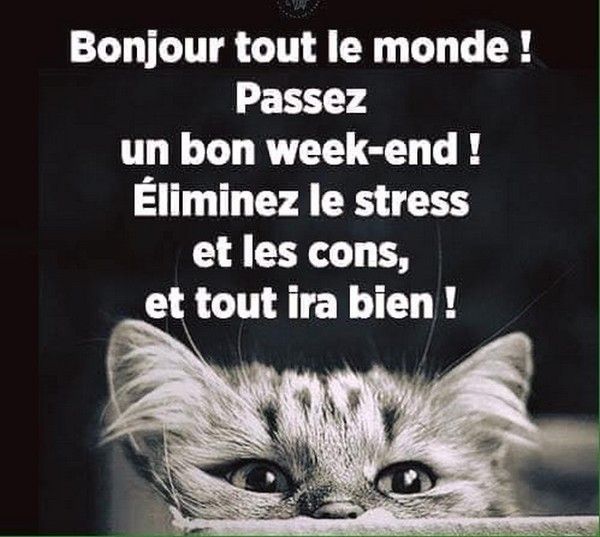 bonjour