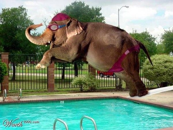 Gros floppe...hi..hi..