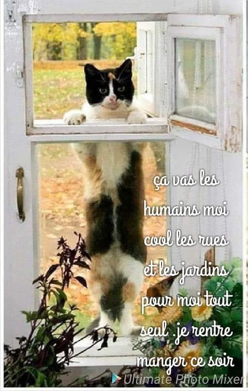 et ceux qui ont