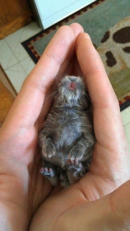 Jolie sieste