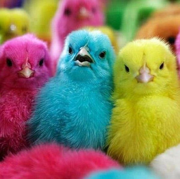 Une coloré...journée