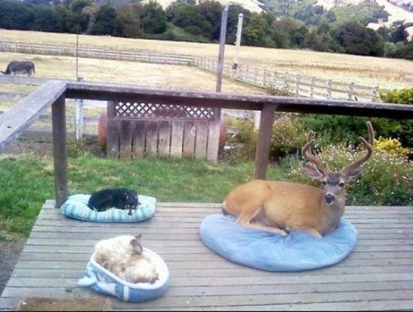 un bon coussin....