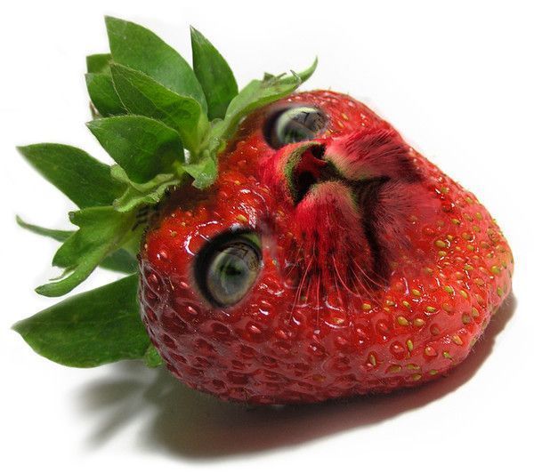 fraise en face..hi.hi..