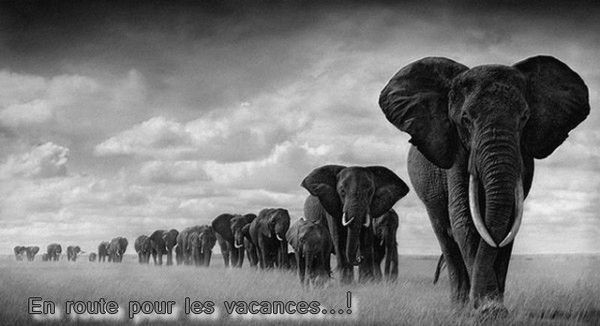 Tous le mondes 