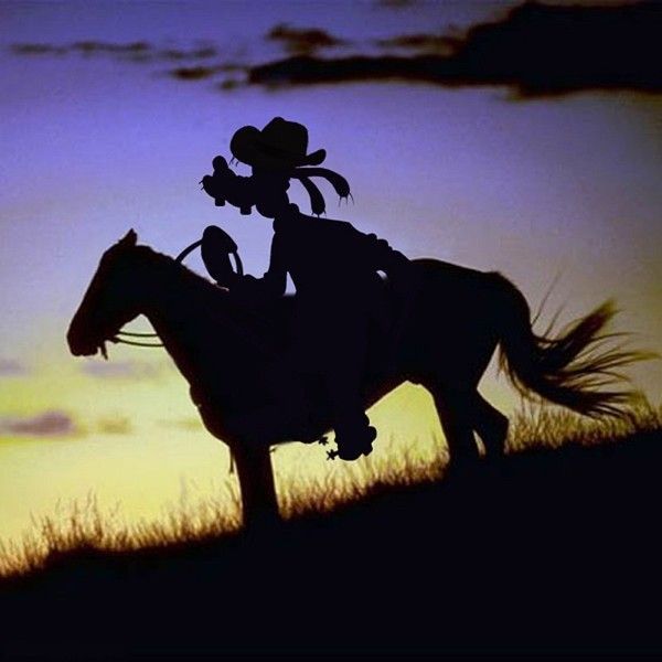 tel un cowboy