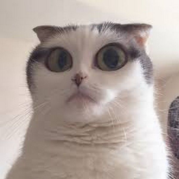 j'en crois pas mes yeux