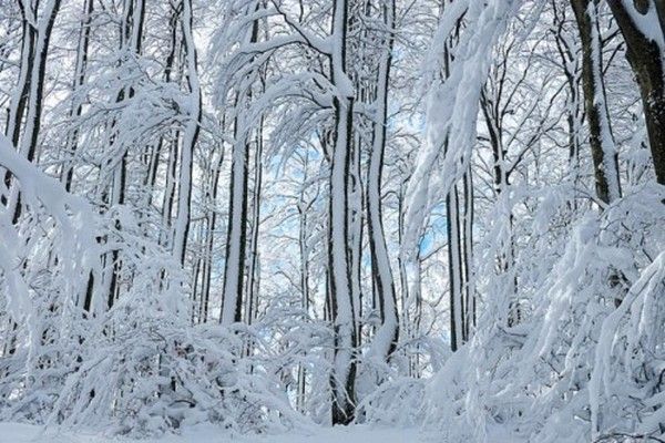 Bordée neige