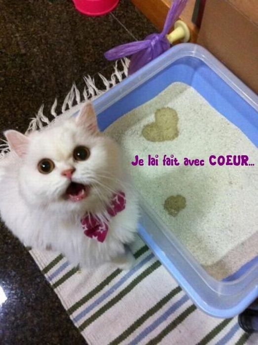 Un coeur sur la main