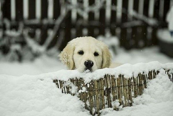 Tanné...de l'hiver....