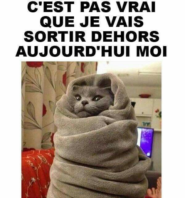 no way je sors