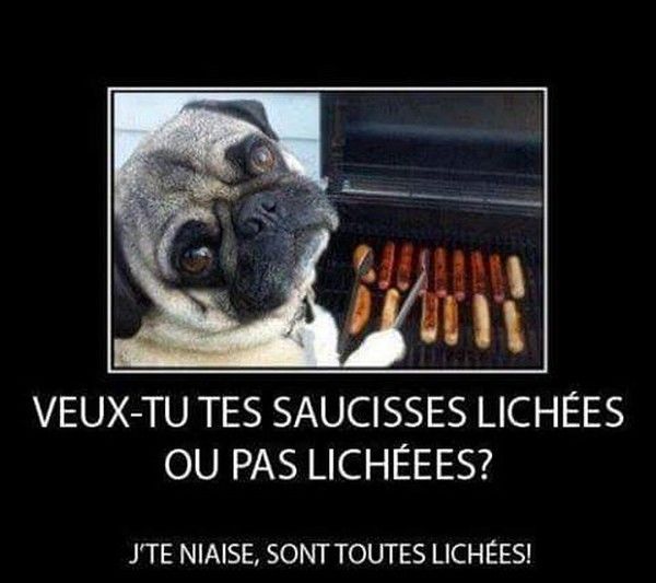 un peut humour..hi.hi..