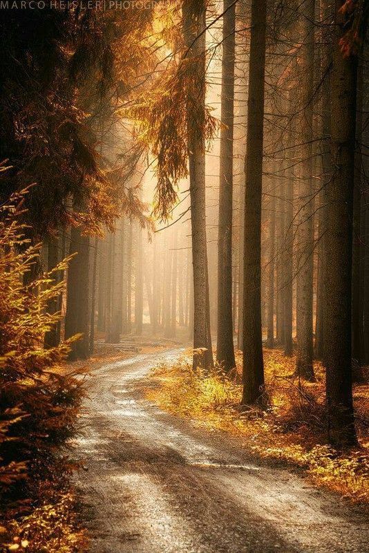 jolie sentier