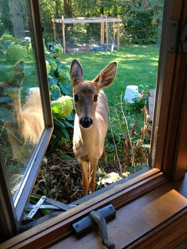 un petit curieux...hi..hi...