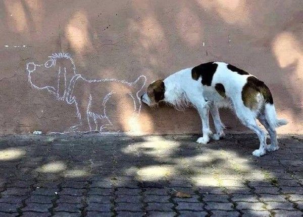 Hi..hi....loi....du .....hi.hi..