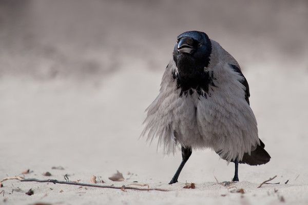 je vous le conseil..hi.hi..