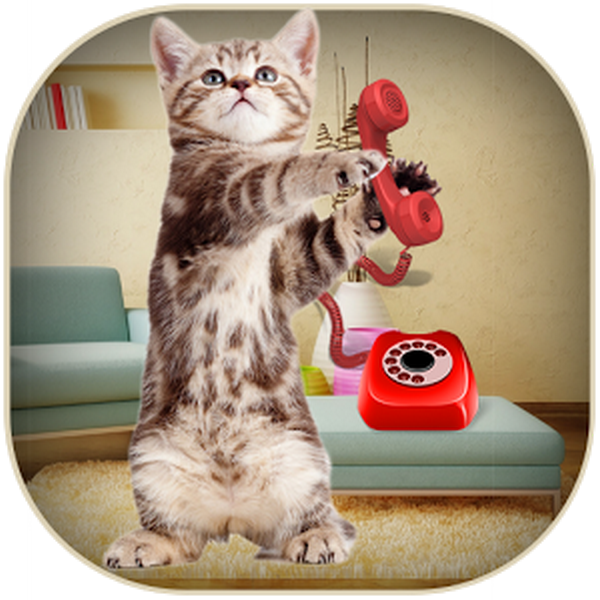 téléphone...au amis