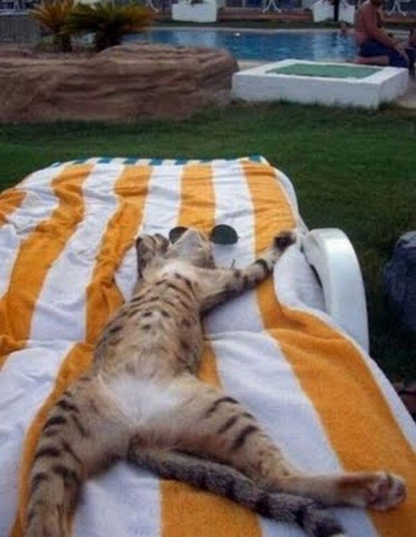 Moi...fait hi.hi..