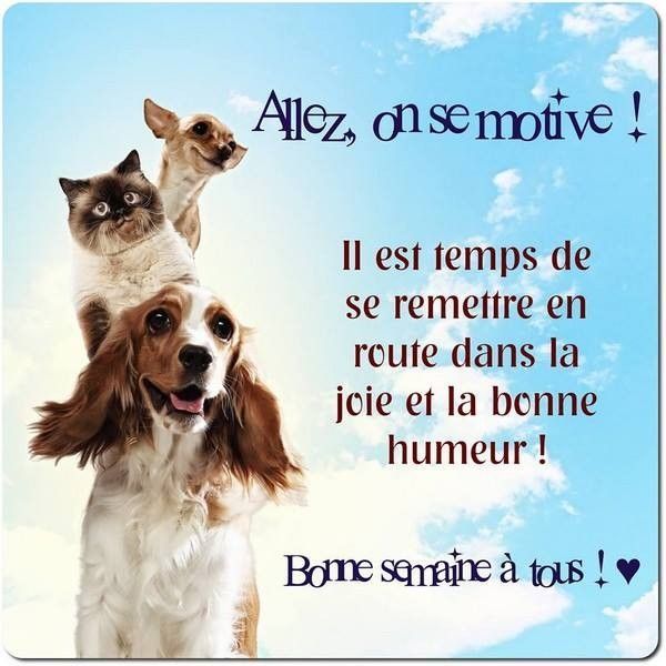bonne semaine