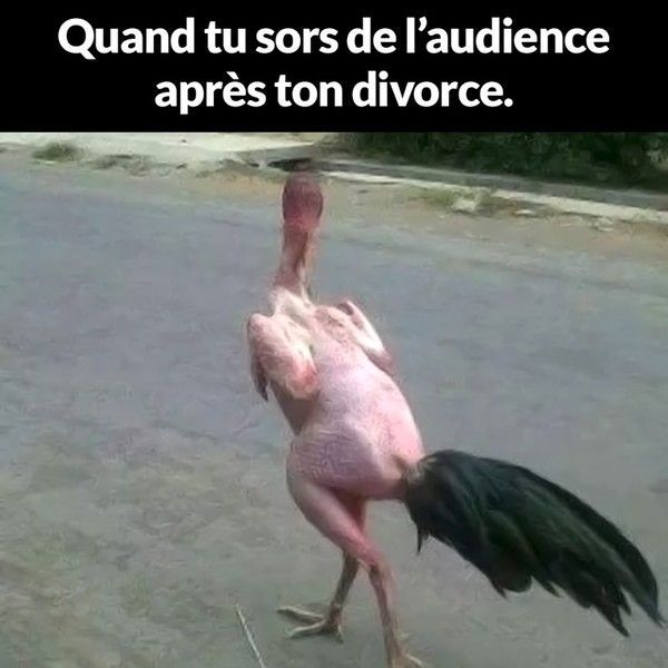 dur ..dur