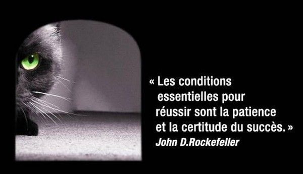 pensé....