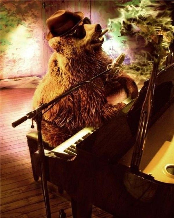 Nounours chante le blues....