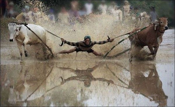 Après le car surfing.....