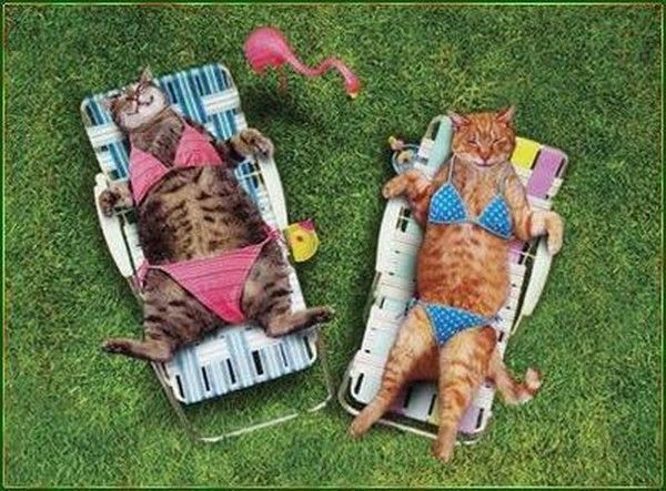 Temps de la bronzette