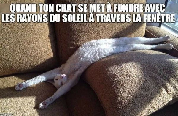 quand tu cherche