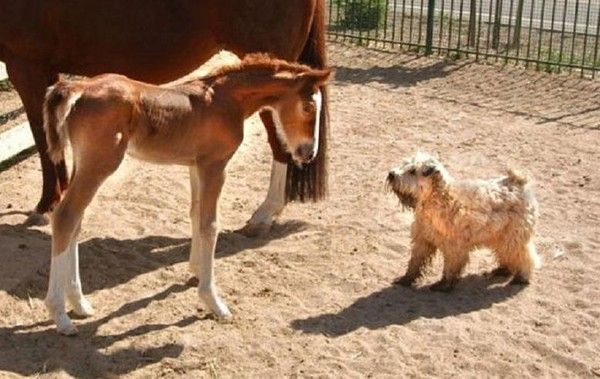 On fait copain copain...hi..hi..