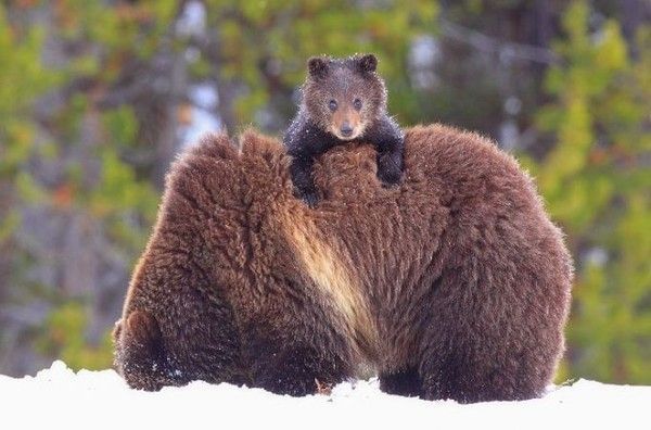 Coucou..je suis la...