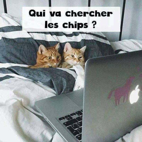 go...sur netflix