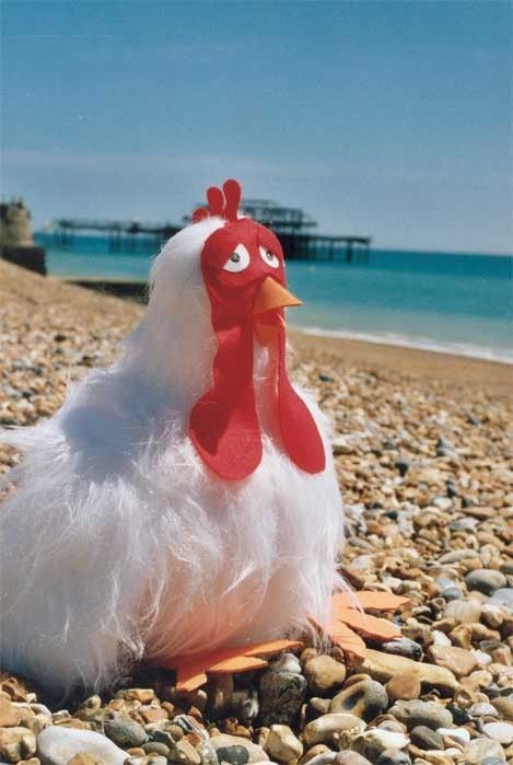 Poule a la plage..hi.hi..