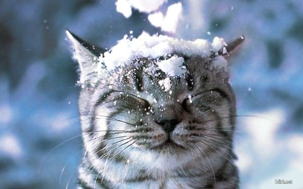 Neige....neige....