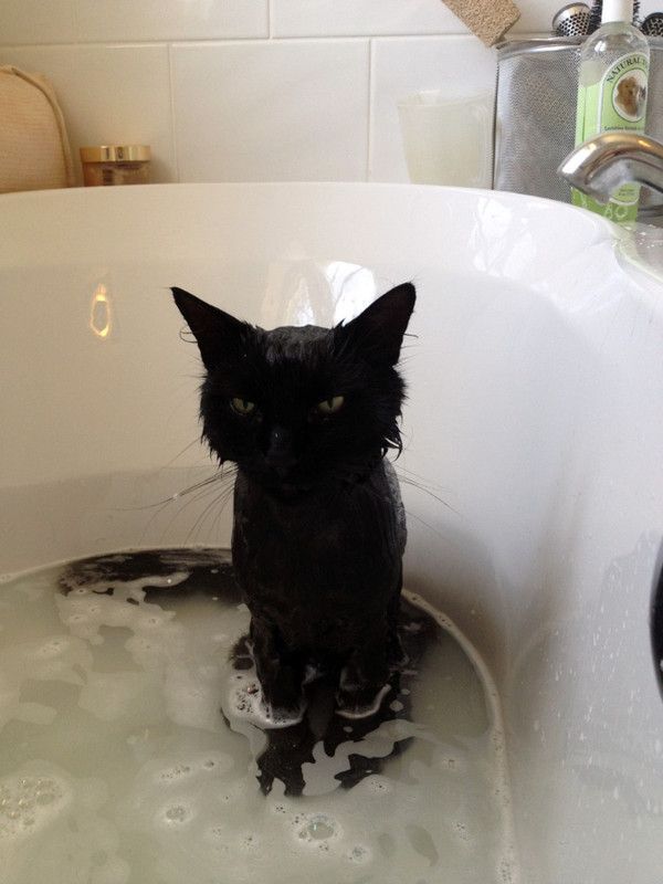 le bain aussi....