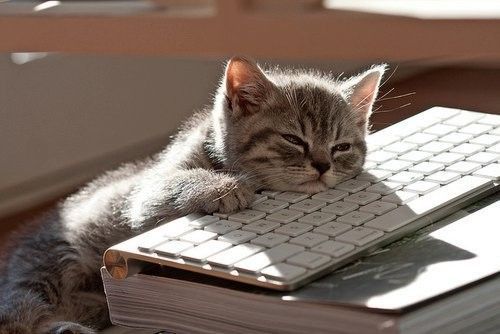 ouais...fatigué....