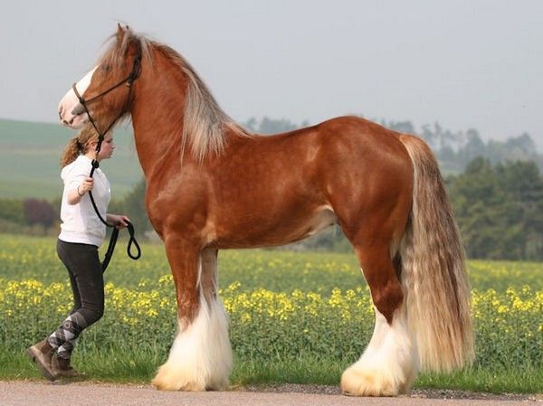 et un beau blond