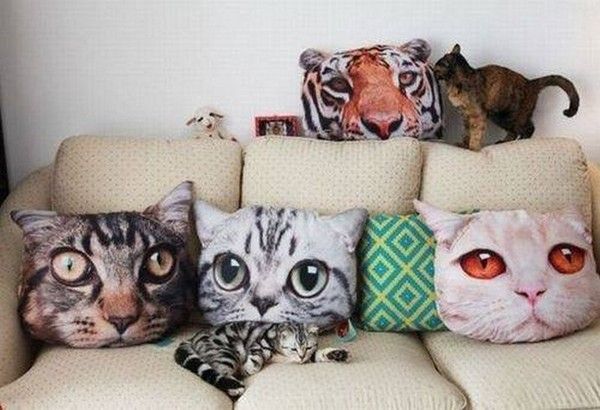 Un divan à chats..hi..hi..
