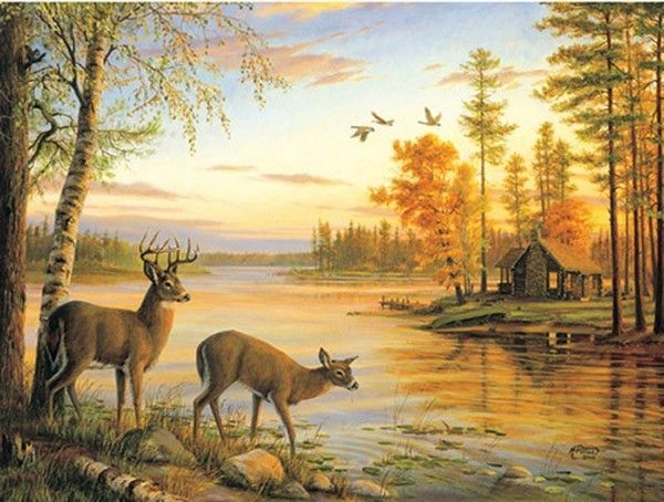 bel peinture