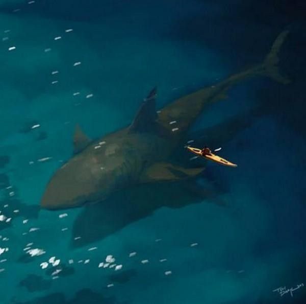 big requin..hi.hi..