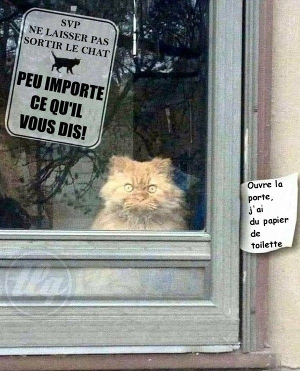 papier