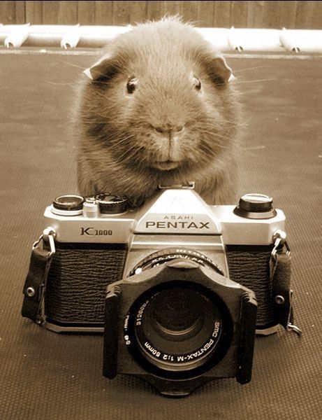 Chesse....pour la photos...hi..hi..