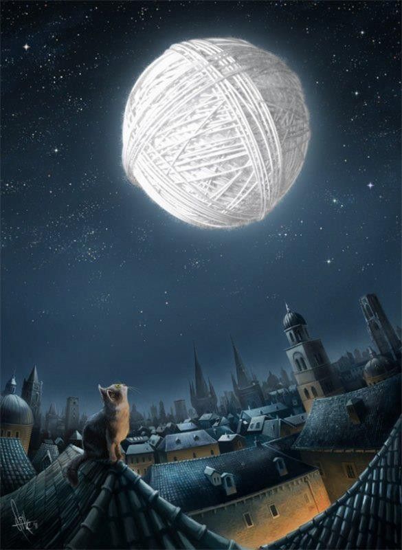 Comment un chat perçois la lune...